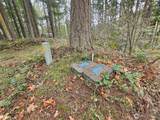 18214 Big Fir Court - Photo 7