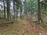 18214 Big Fir Court - Photo 10