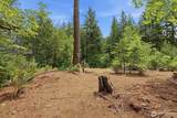 47337 160th Street - Photo 36