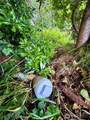 772 Island Circle - Photo 9