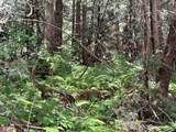 0 43rd Avenue - Photo 12