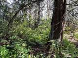 0 43rd Avenue - Photo 13
