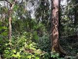 0 43rd Avenue - Photo 14