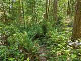 370 Mount Jupiter Drive - Photo 15