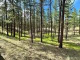 67 Larkspur Drive - Photo 1