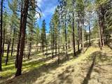 67 Larkspur Drive - Photo 11