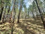 67 Larkspur Drive - Photo 14