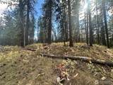 67 Larkspur Drive - Photo 6
