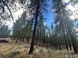 67 Larkspur Drive - Photo 7