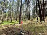 67 Larkspur Drive - Photo 9