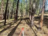 67 Larkspur Drive - Photo 10