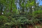 0 XXX Waterside Lane - Photo 13
