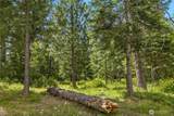 21 Old Grove Trail - Photo 19