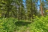 21 Old Grove Trail - Photo 24