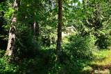 18840 Rampart Drive - Photo 40