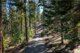 6761 Forest Ridge Drive - Photo 1