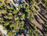 6761 Forest Ridge Drive - Photo 9