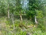 556 Chenois Avenue - Photo 5