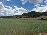 1 TBD Lundimo Meadows Tract 1 - Photo 13