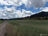 1 TBD Lundimo Meadows Tract 1 - Photo 4