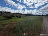 1 TBD Lundimo Meadows Tract 1 - Photo 8