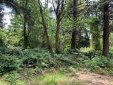 35208 Stackpole Road - Photo 14
