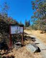 7617 Pine Street - Photo 1