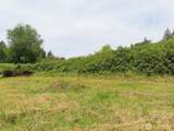 0 XXX Coleman Road - Photo 3