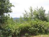 0 XXX Coleman Road - Photo 6