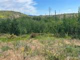 0 Lot 12 Lone Spur Road - Photo 14