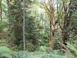 0 Lot 11 Valley View Drive - Photo 11
