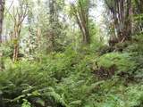 0 Lot 11 Valley View Drive - Photo 12