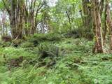 0 Lot 11 Valley View Drive - Photo 13