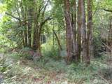 0 Lot 11 Valley View Drive - Photo 9
