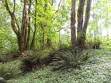 0 Lot 11 Valley View Drive - Photo 10