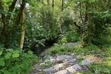 20425 Little Bearcreek Road - Photo 36