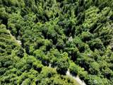 1400 Sunrise Road - Photo 12