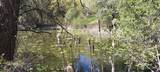 8010 Green Rd - Photo 19