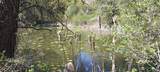 8010 Green Rd - Photo 20