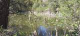 8010 Green Rd - Photo 4