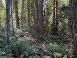 156 XX Lot 1 Marine Drive - Photo 8