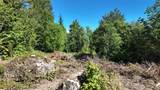 45028 Baker Lake Road - Photo 17