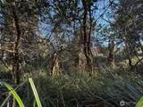 27399 Sandridge Road - Photo 4