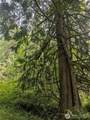 25314 Ebey Mountain Road - Photo 5