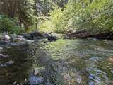 1524 Nasty Creek Road - Photo 3