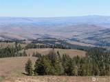 1524 Nasty Creek Road - Photo 28