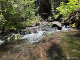 1524 Nasty Creek Road - Photo 30