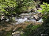 1524 Nasty Creek Road - Photo 31