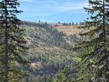 1524 Nasty Creek Road - Photo 34