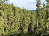 1524 Nasty Creek Road - Photo 36